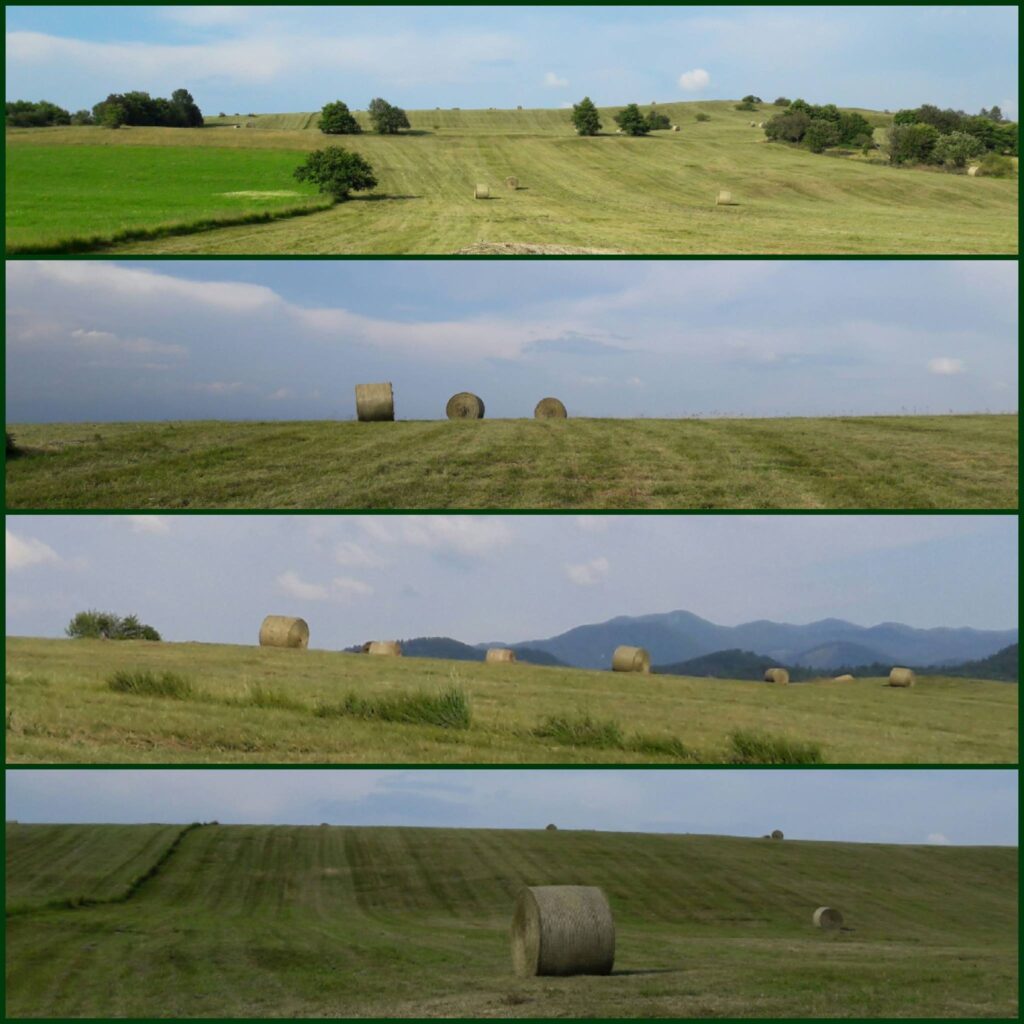 Košnja